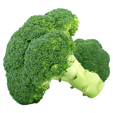 Fresh broccoli