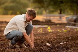 Contract Farming